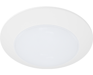  This is a link to the product DISK17-6