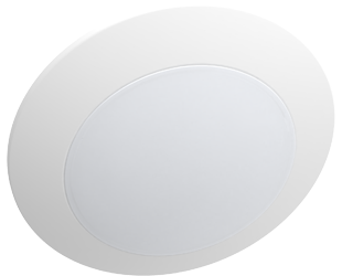 DISK17-6 large thumb-1