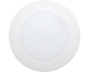 DISK17-6 large thumb-2