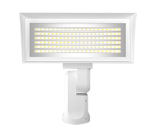 FFLEDMSFW large thumb-2