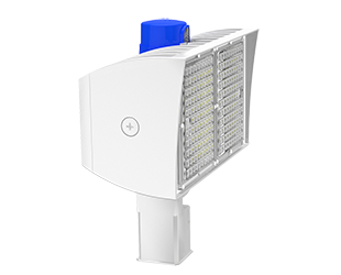  This is a link to the product PIPXL100SFW/D10/PCT