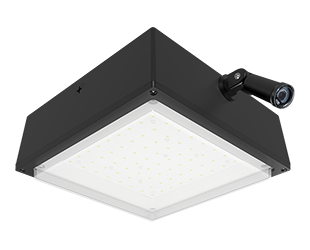  This is a link to the product VANLED20FR/PCS