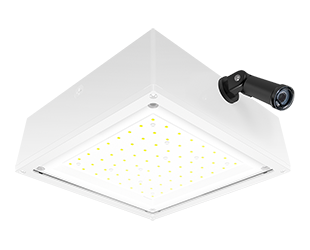  This is a link to the product VANLED10NFW/PCS2