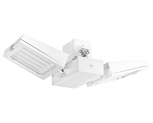  This is a link to the product FALCORA80W/D10