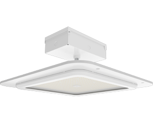  This is a link to the product MASI20/480