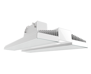  This is a link to the product RAIL225N/LCS/E