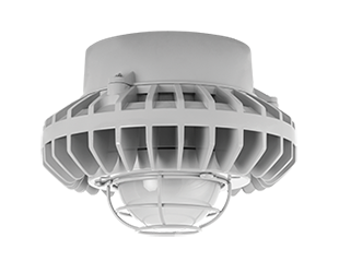  This is a link to the product HAZPLED80F-G/D10