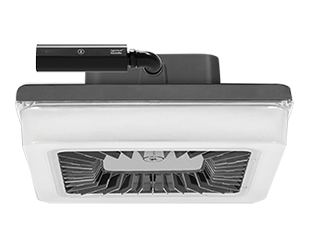  This is a link to the product PRT55/D10/LC