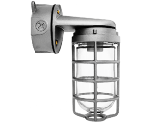  This is a link to the product VXBR100DGS