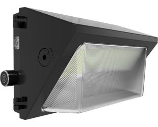  This is a link to the product W22-M-100/480/LCBS/MVS