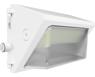  This is a link to the product W22-M-60W/480/LCBS/MVS