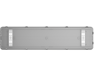 WHALE4H large thumb-2